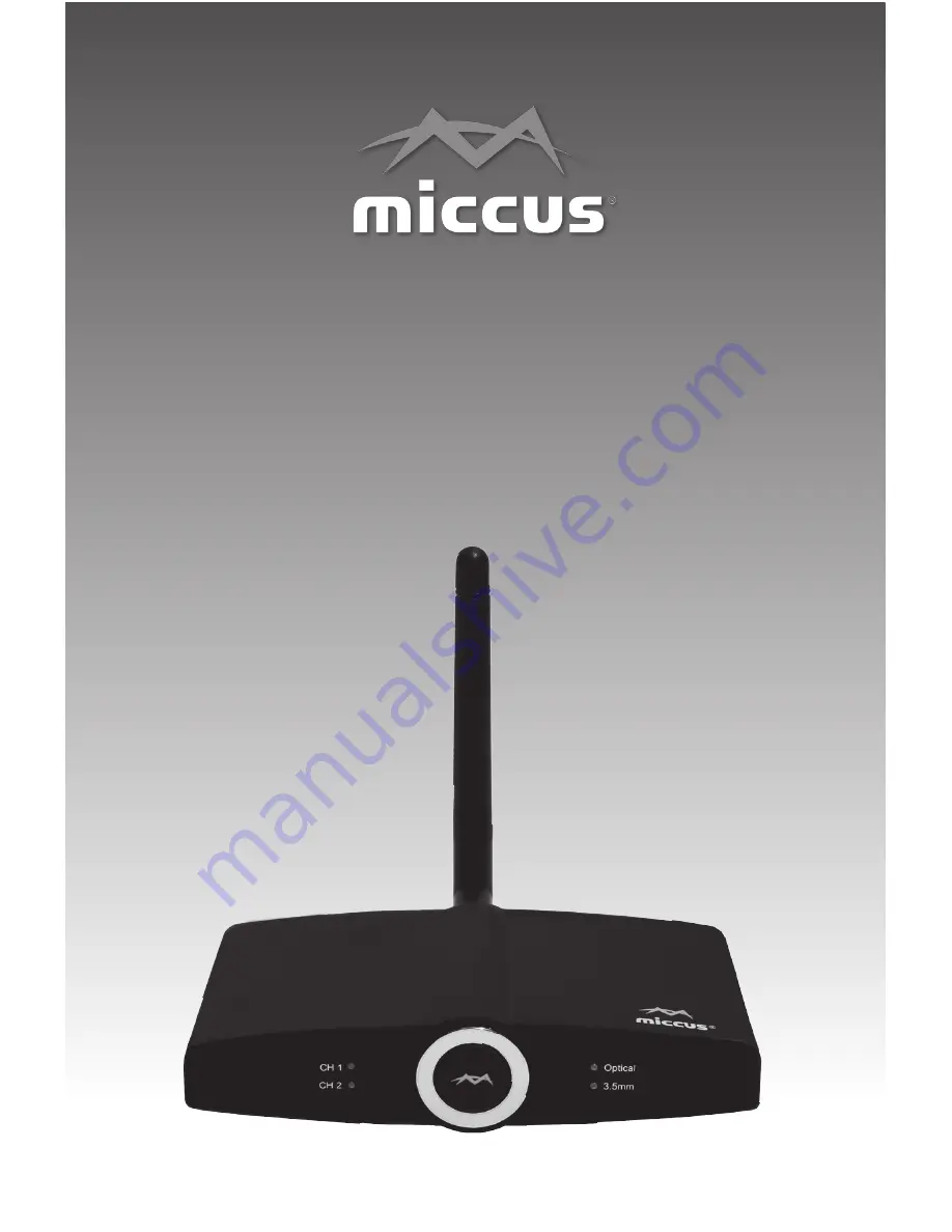 Miccus Home RTX 2.0 Скачать руководство пользователя страница 1