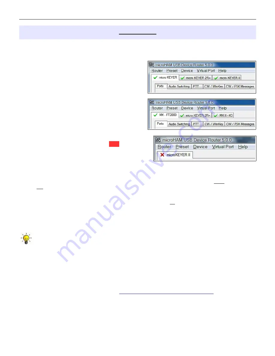 microHAM STATION MASTER Manual Download Page 17