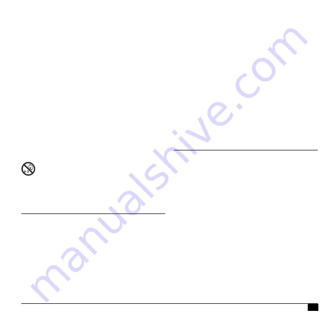 Microlife NEB210 Manual Download Page 17