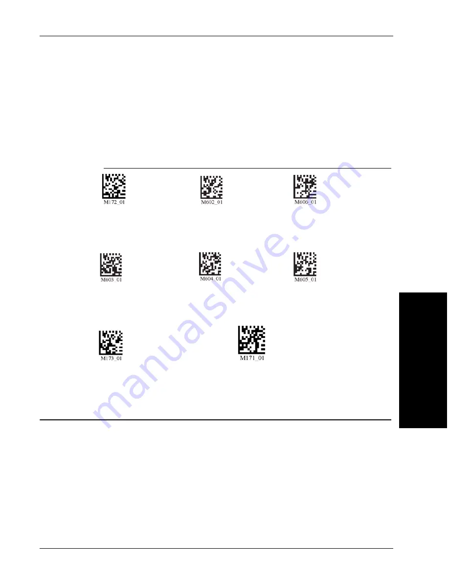 Microscan HawkEye 40T User Manual Download Page 67