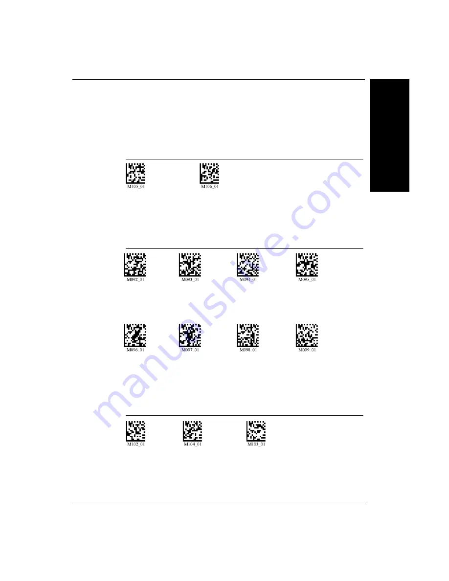 Microscan HawkEye 45T User Manual Download Page 33