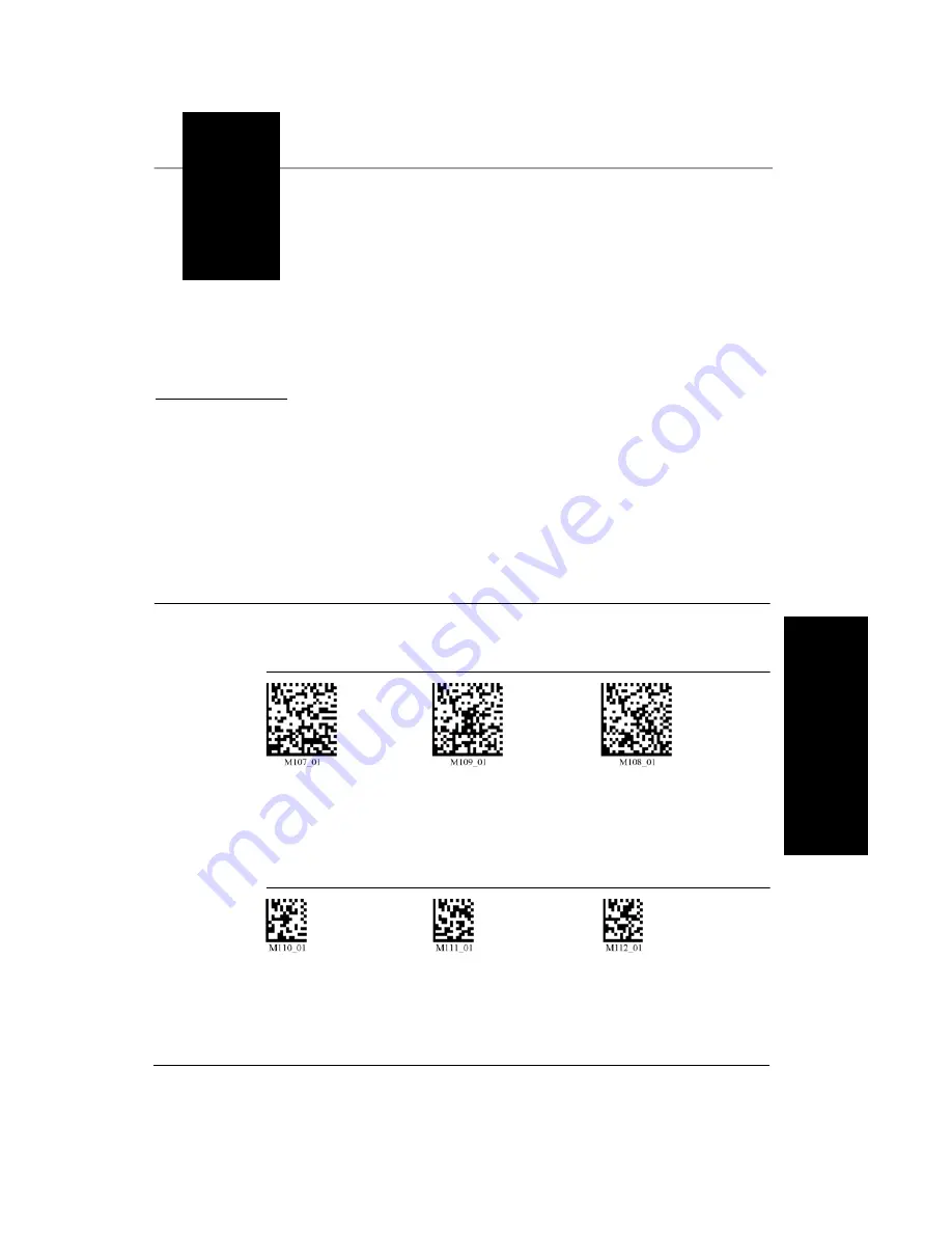 Microscan HawkEye 45T User Manual Download Page 69