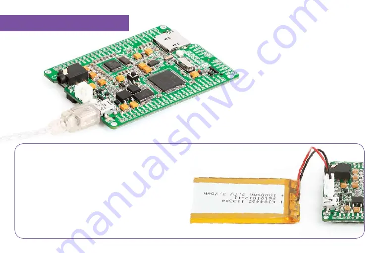 mikroElektronika mikromedia for dsPIC33 Manual Download Page 8