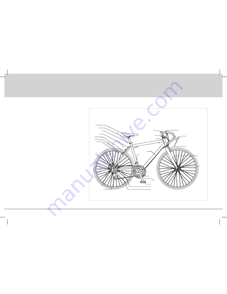 Milazo Adult Bicycles Instruction Manual Download Page 9