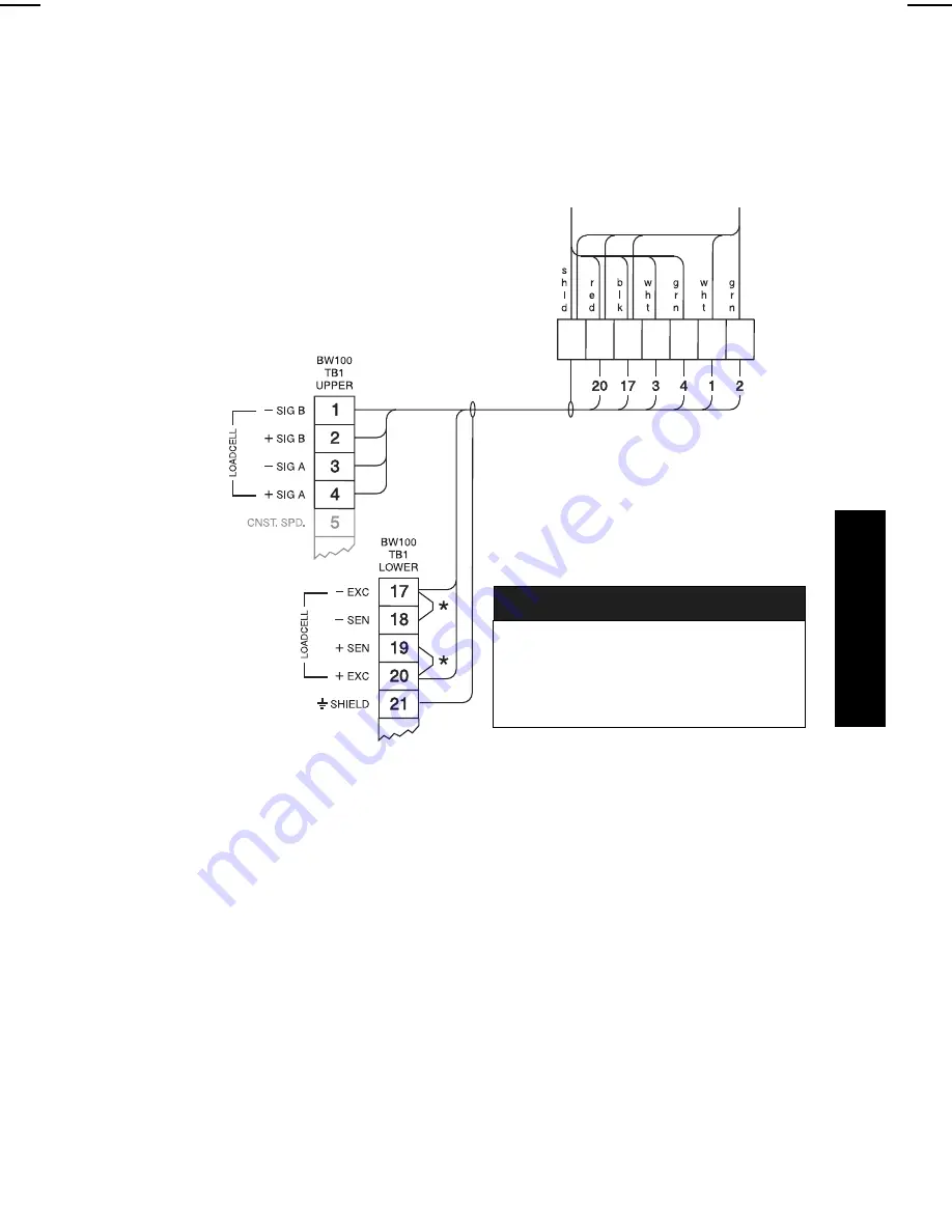 Milltronics Accumass BW100 Скачать руководство пользователя страница 13