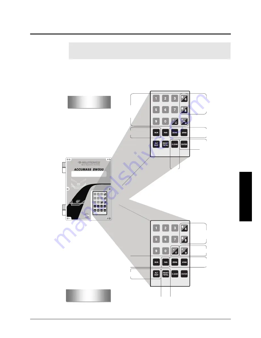 Milltronics ACCUMASS BW500 Instruction Manual Download Page 29