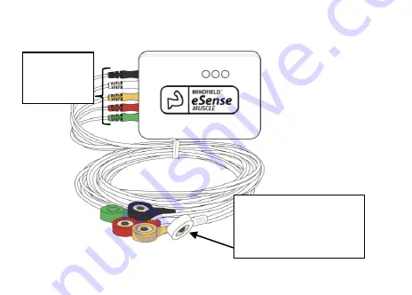 Mindfield eSense Muscle Скачать руководство пользователя страница 6