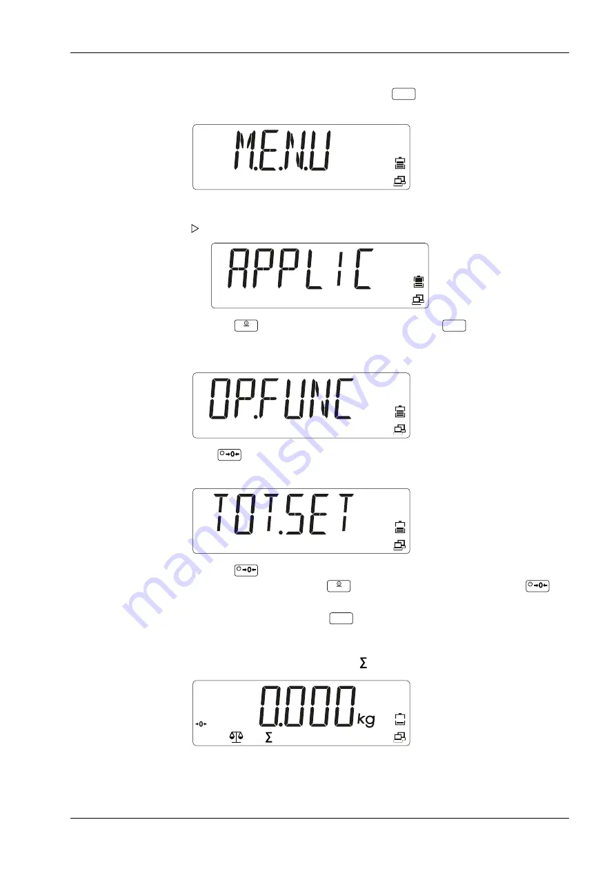 Minebea Intec Compact Scale Puro Advanced EF-P1 Operating Instructions Manual Download Page 17