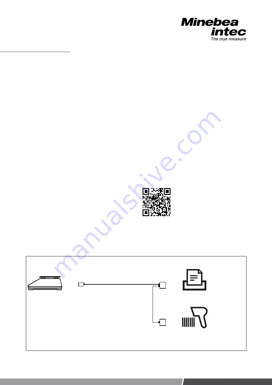 Minebea Intec Puro Scanner MD2000 Safety Instructions Download Page 19