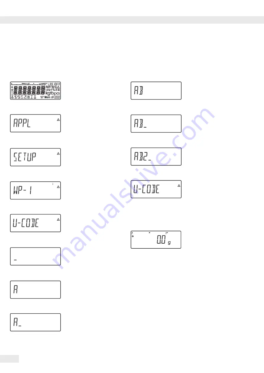 Minebea Intec Signum 3 Ex Скачать руководство пользователя страница 16