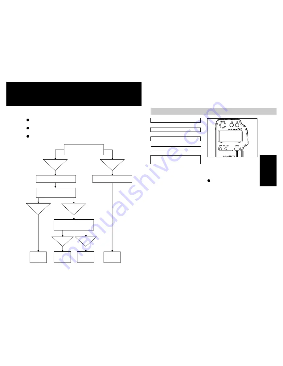 Minolta AUTO METER VF Скачать руководство пользователя страница 14