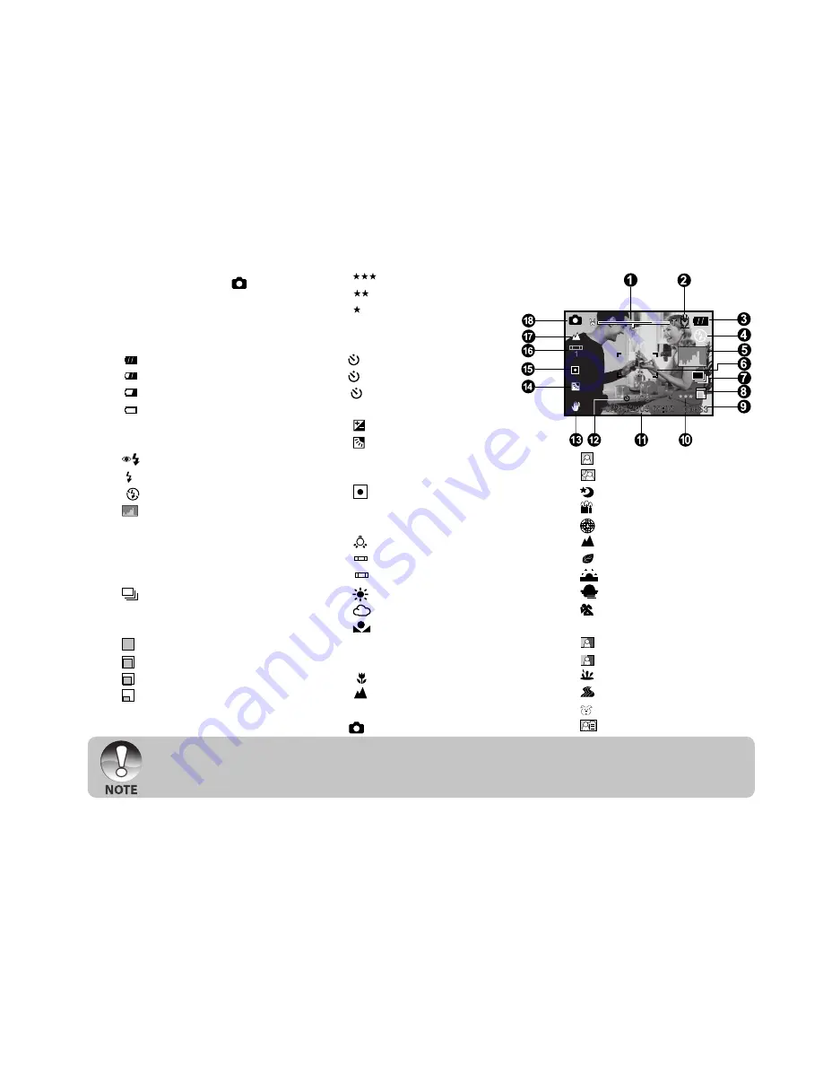 Minox DC 6011 User Manual Download Page 15