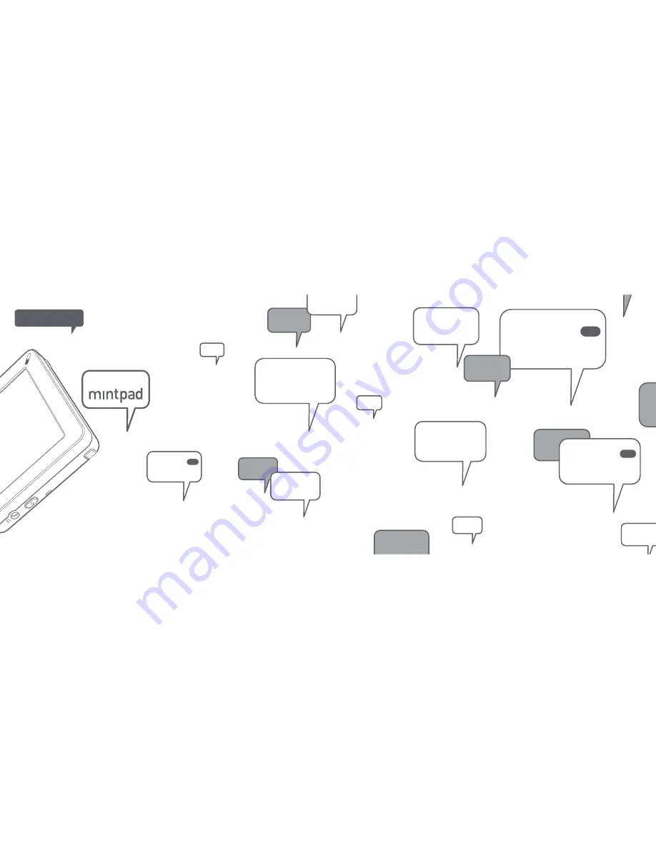 Mintpass Mintpad MP100 Скачать руководство пользователя страница 12