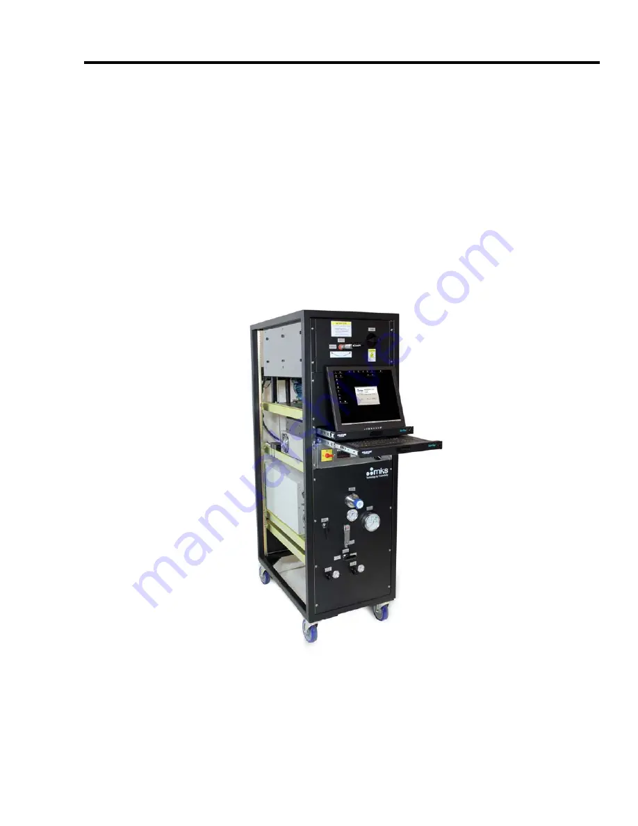 MKS 2480HS Installation & Use Manual Download Page 10