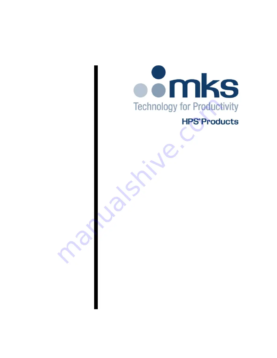 MKS HPS 919 Series Operation And Maintenance Manual Download Page 2