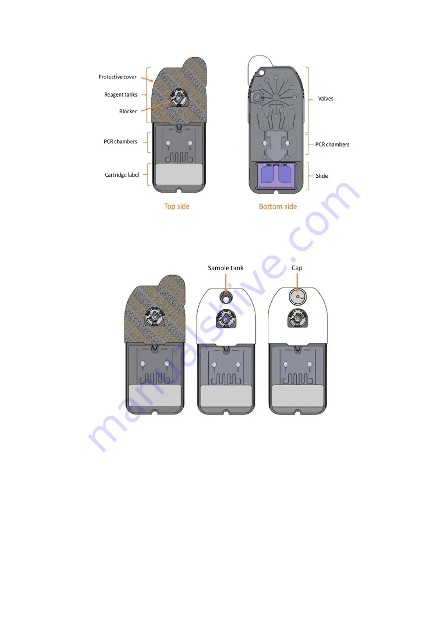 Mobidiag Novodiag NVD-BCS-A NVD-TSCA-A Скачать руководство пользователя страница 10