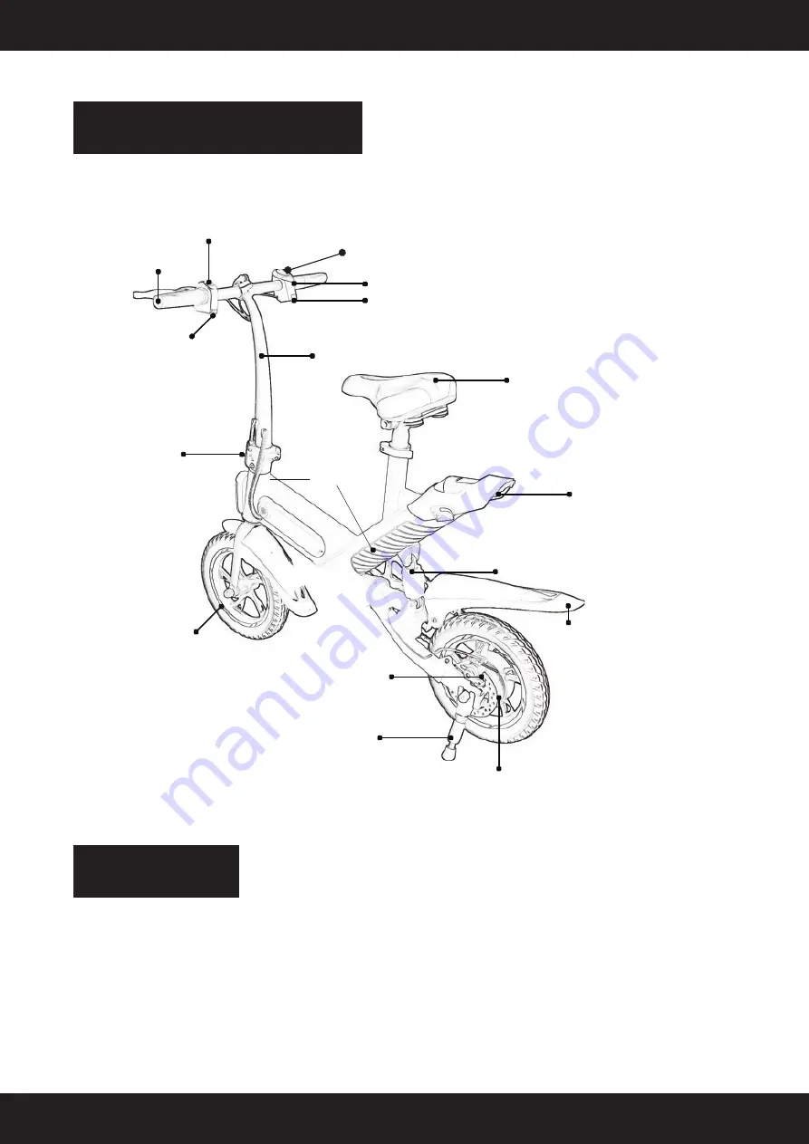 MODSTER 285168 User Manual Download Page 2