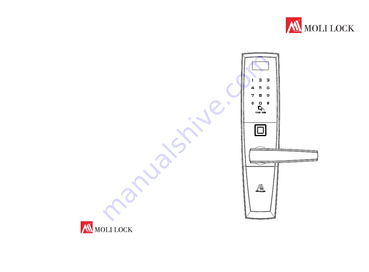 Moli Lock 157C38 Скачать руководство пользователя страница 1