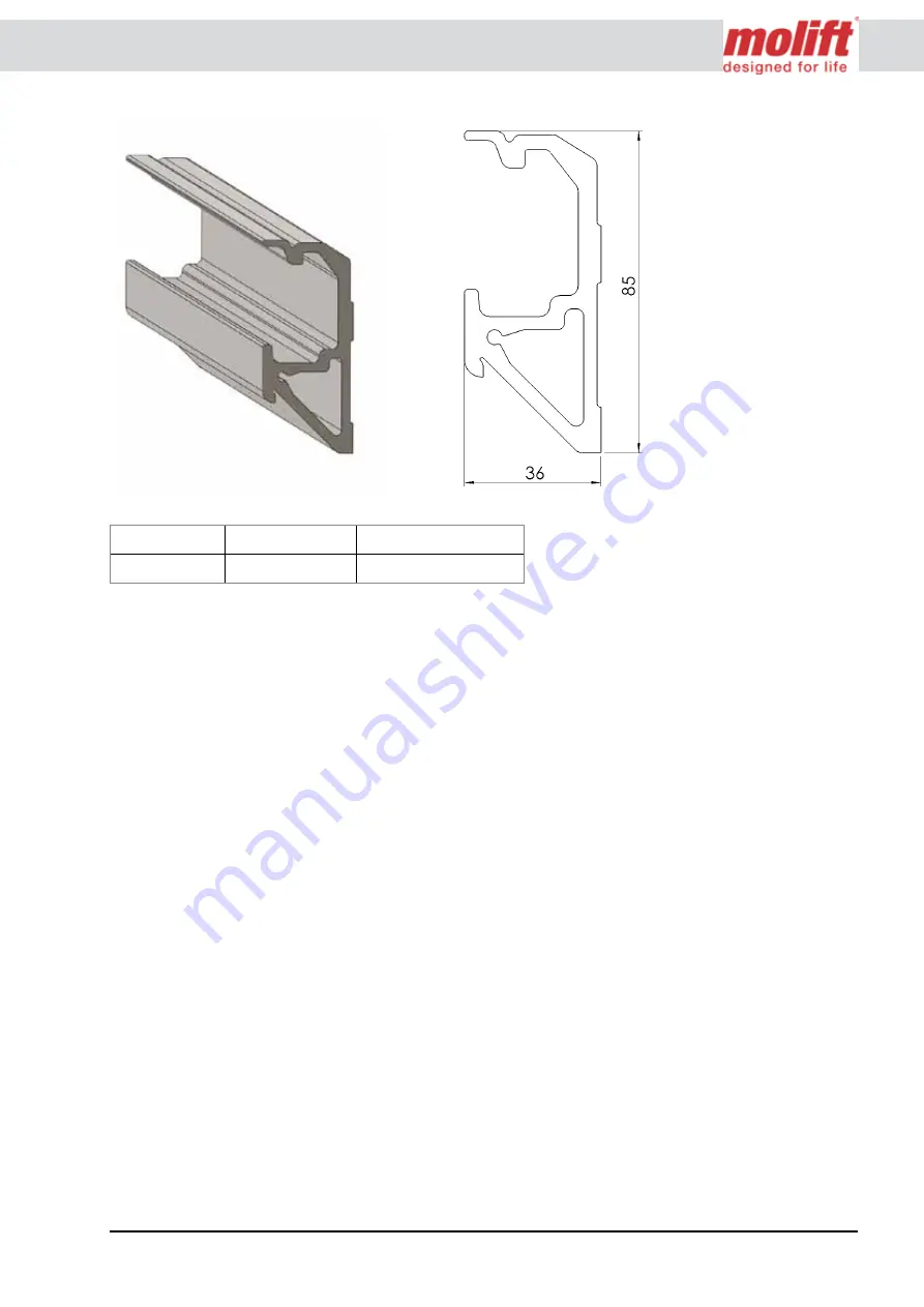 Molift Rail System Скачать руководство пользователя страница 31