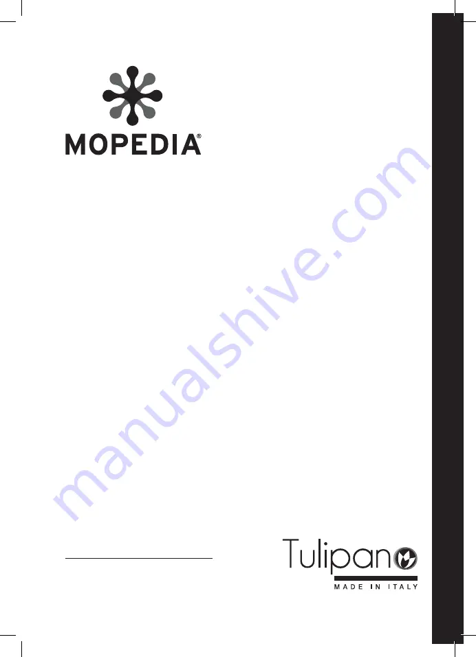 Mopedia Tulipan MI100 Скачать руководство пользователя страница 21