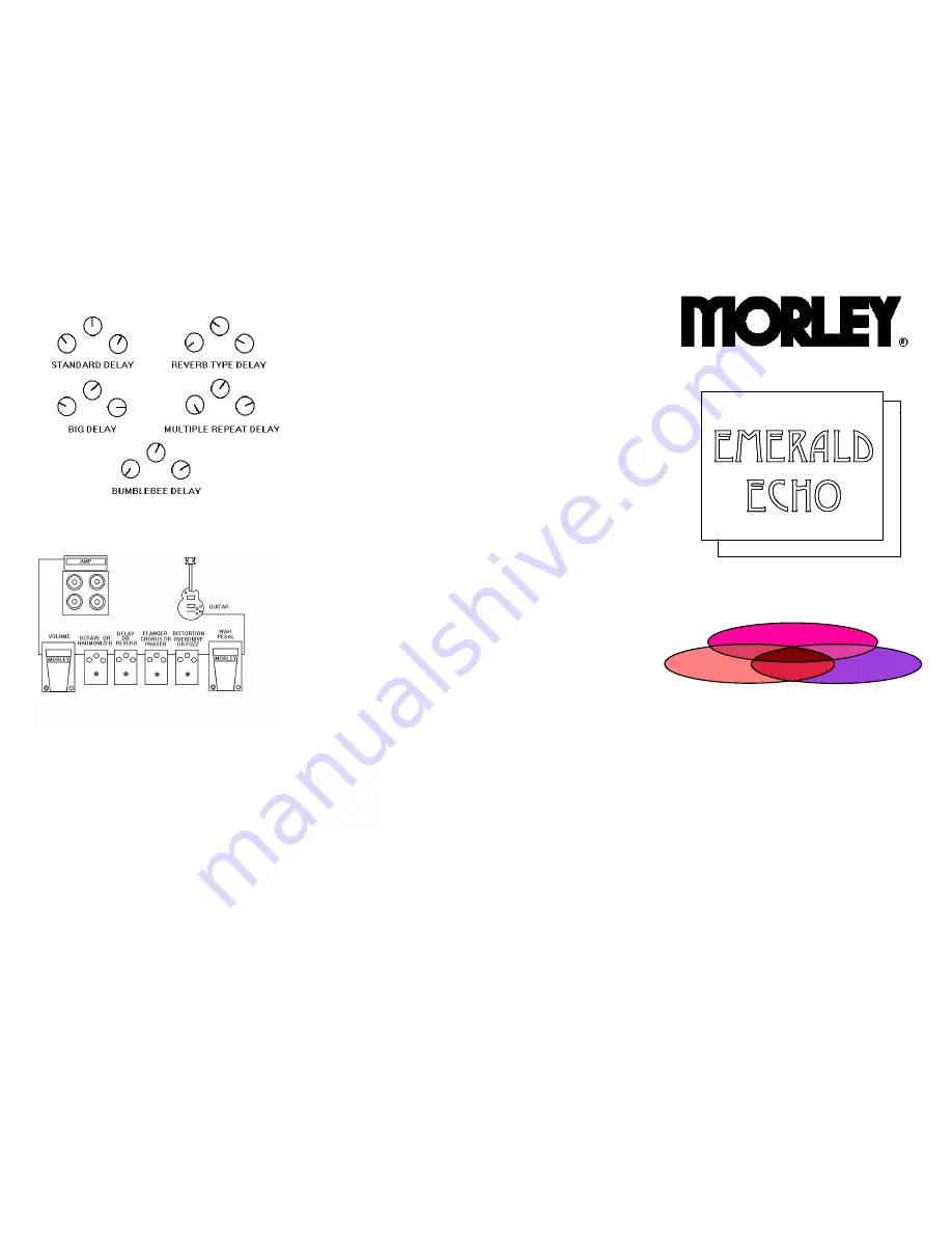 MORLEY EEB Скачать руководство пользователя страница 2