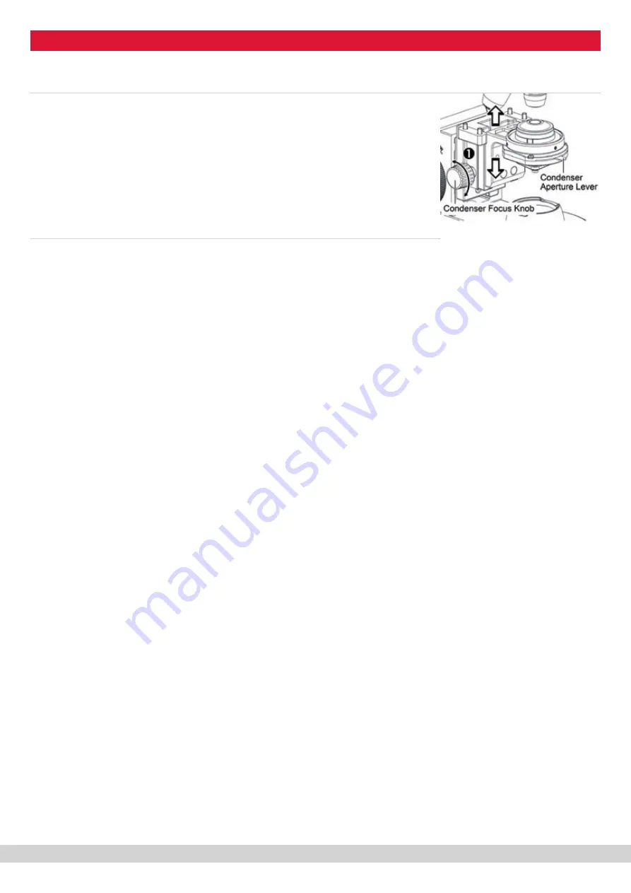 Motic 1100104700013 Instruction Manual Download Page 11