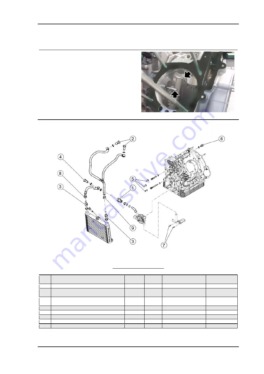 MOTO GUZZI Audace 2015 Service Station Manual Download Page 251