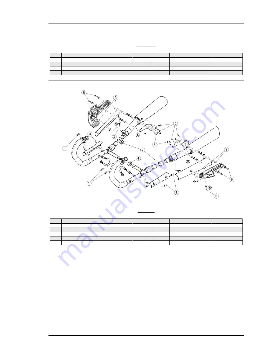 MOTO GUZZI California 1400 Instructions Manual Download Page 25