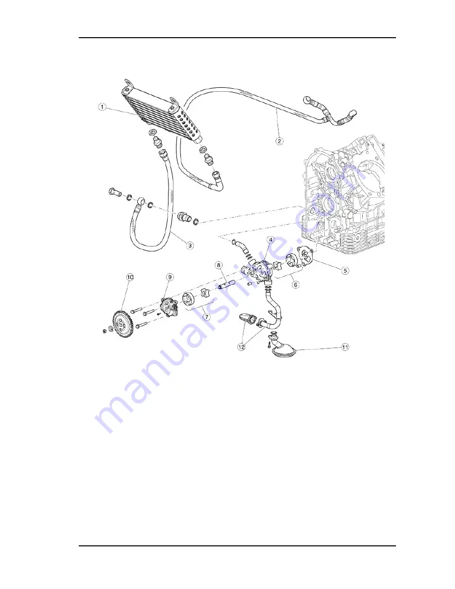 MOTO GUZZI California 1400 Instructions Manual Download Page 267