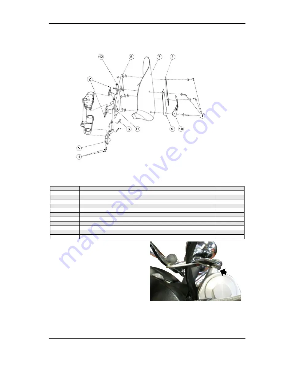 MOTO GUZZI California 1400 Instructions Manual Download Page 397