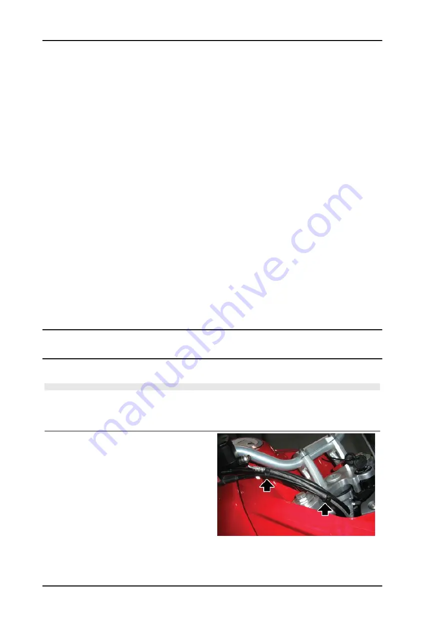 MOTO GUZZI Stelvio 1200 NTX Service Manual Download Page 42