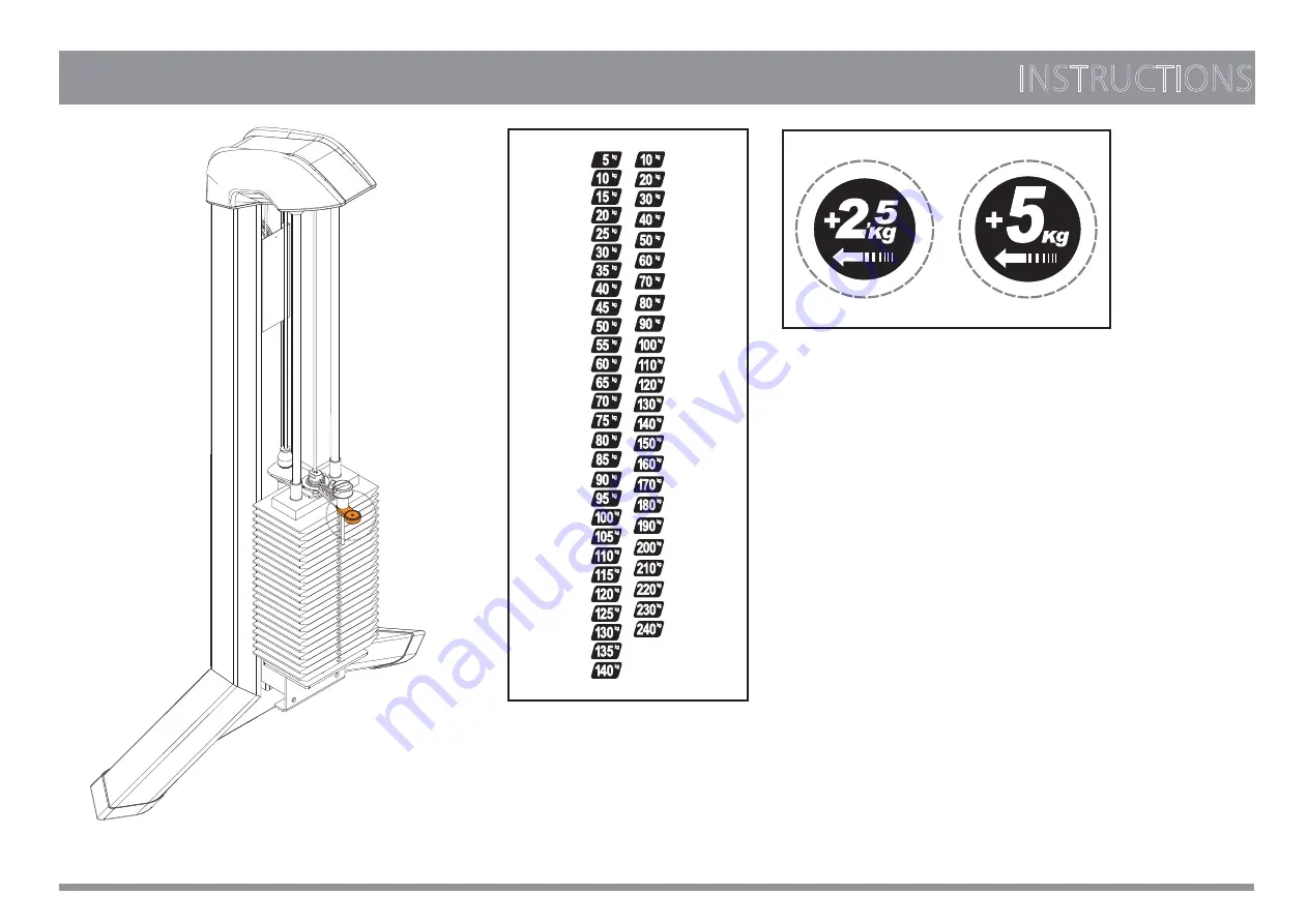 Movement EDGE PECTORAL Скачать руководство пользователя страница 39