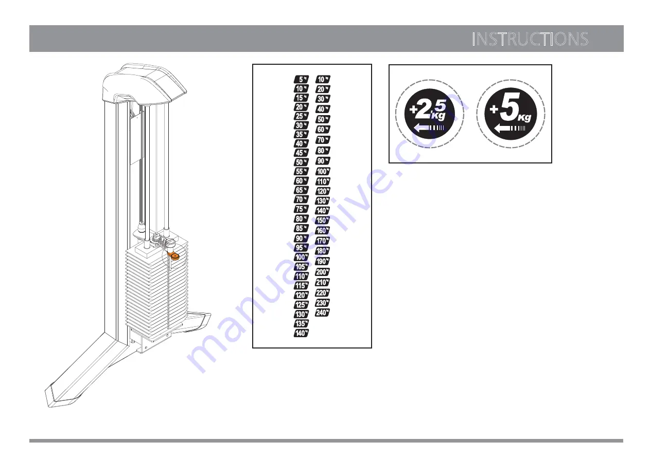 Movement EDGE SHOULDER Скачать руководство пользователя страница 41