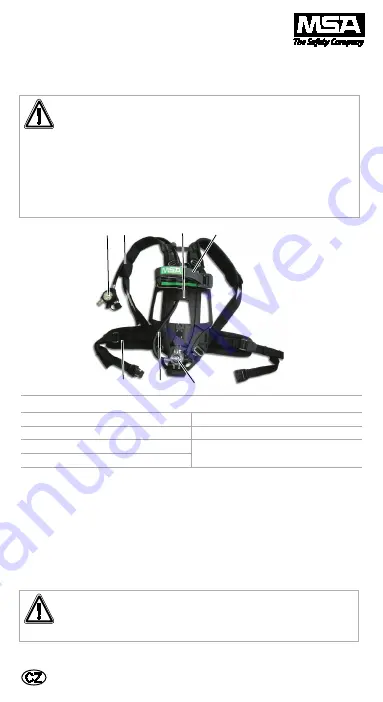 MSA SCBA Basic Apparatus AirGo Скачать руководство пользователя страница 5