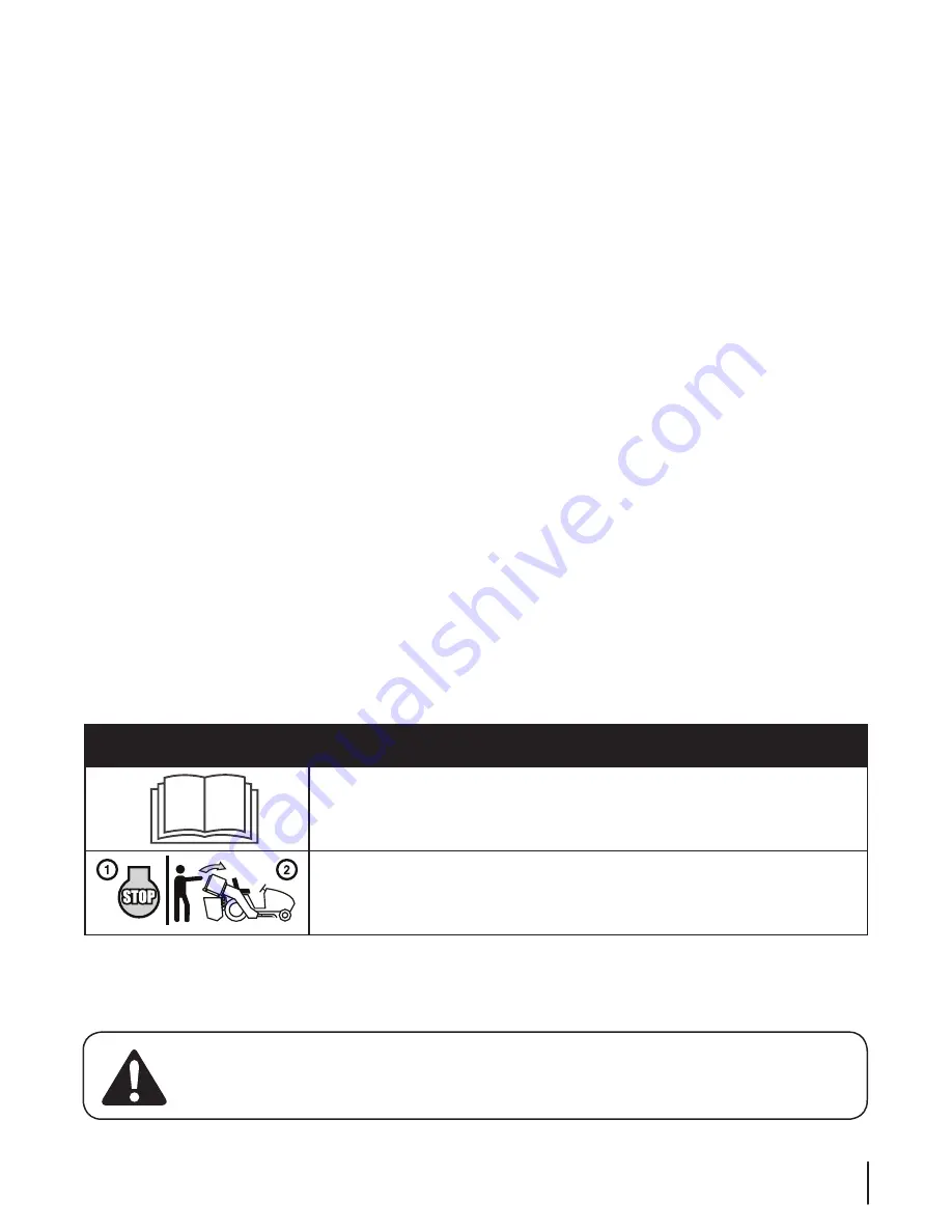 MTD 19A30002000 Operator'S Manual Download Page 25