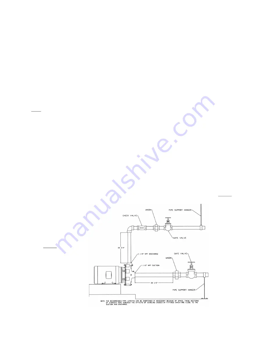 MTH PUMPS D91 SERIES Manual Download Page 2