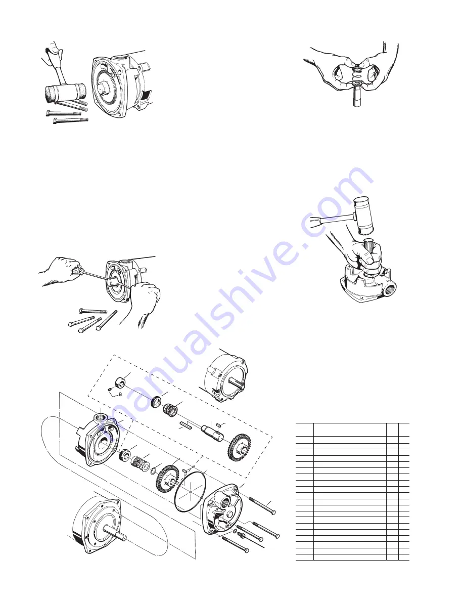 MTH PUMPS E41 Series Manual Download Page 8