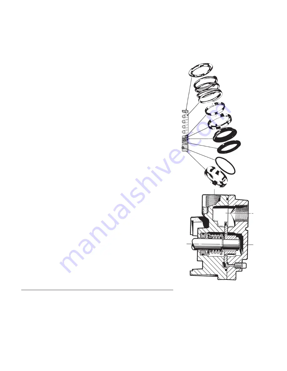 MTHPUMPS T31 SERIES Manual Download Page 6