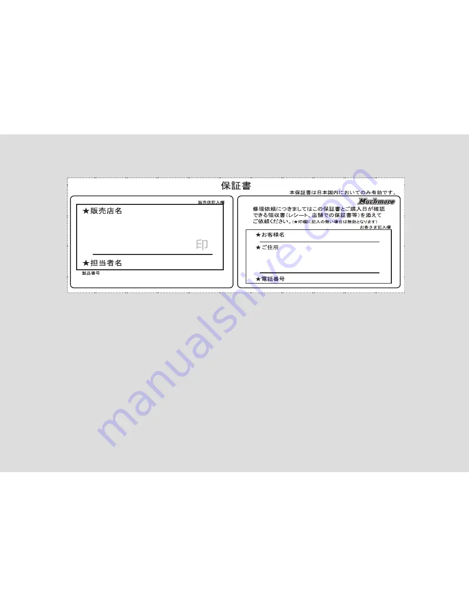 Muchmore Silent Charger Platinum Manual Download Page 31