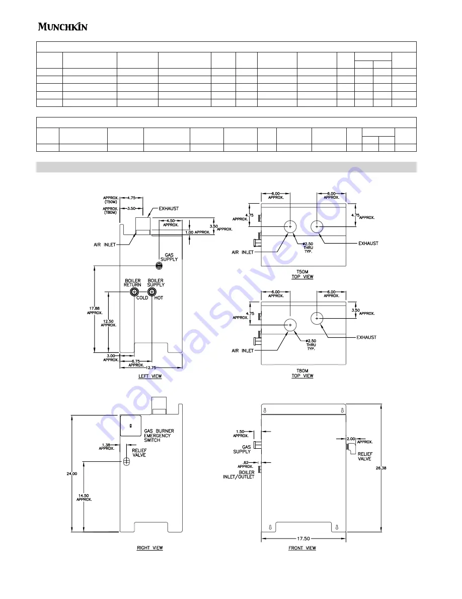 Munchkin Gas-Fired Hot Water Boiler Manual Download Page 10