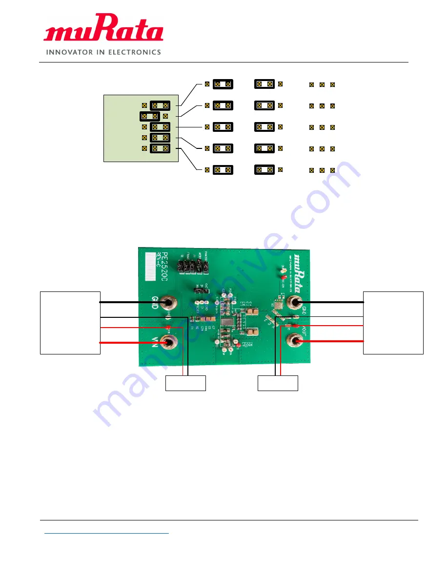 Murata PE25200 User Manual Download Page 5