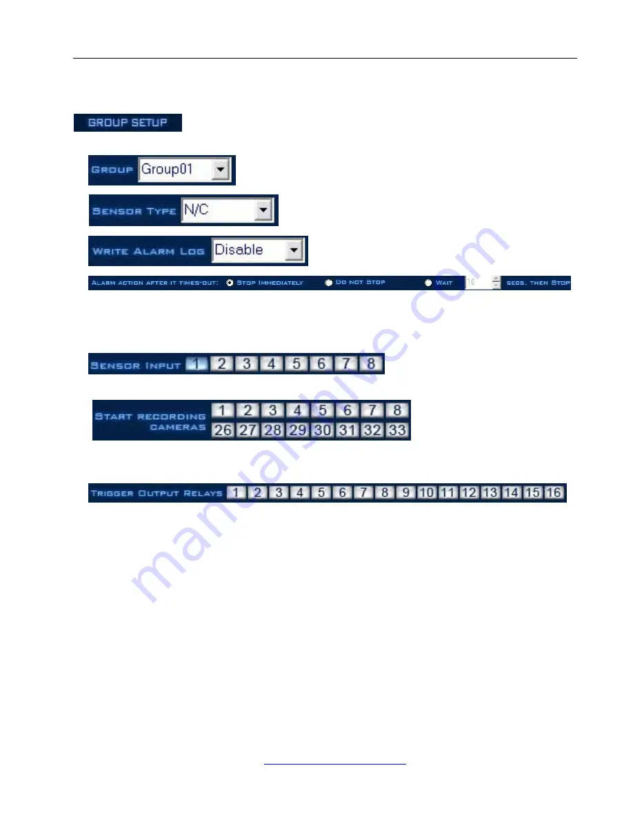 N-Patrol Commercial DVR system User Manual Download Page 30