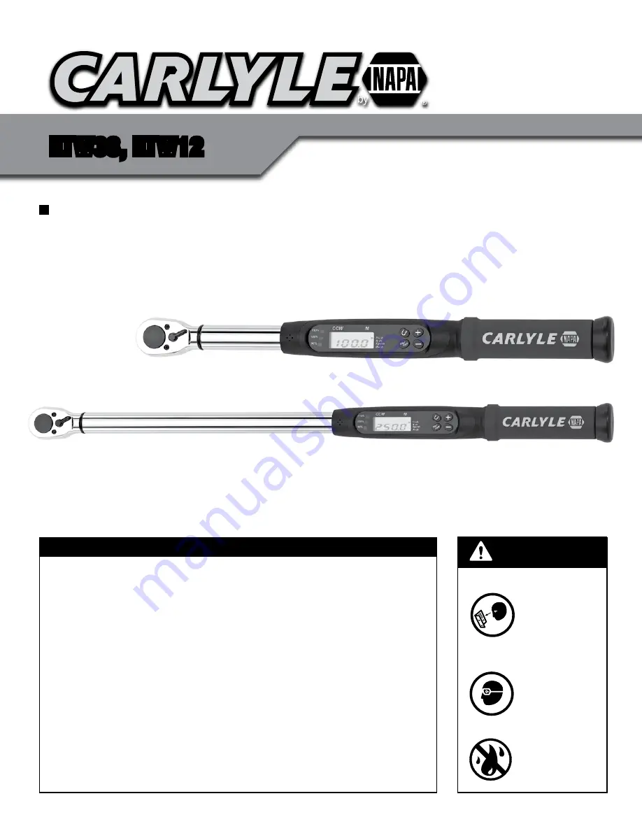 Napa Carlyle ETW12 Скачать руководство пользователя страница 1