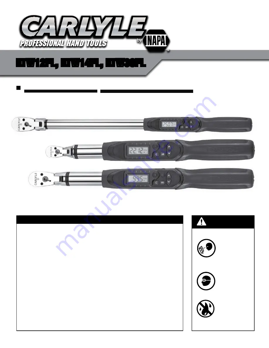 Napa Carlyle ETW38FL Скачать руководство пользователя страница 1