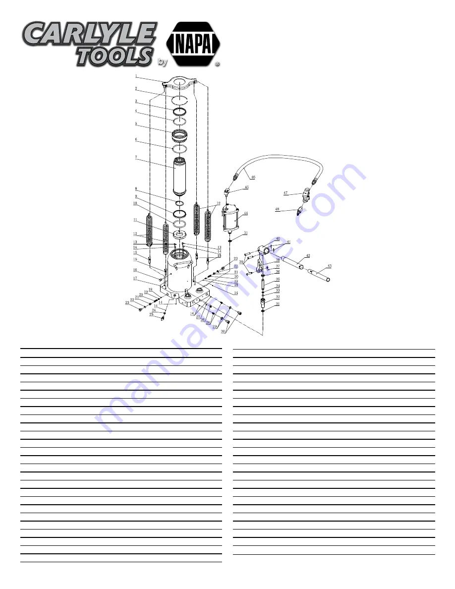 Napa CARLYLE TOOLS 791-9004 Скачать руководство пользователя страница 5