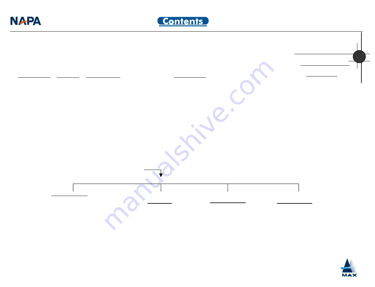 Napa DAV314G User Manual Download Page 10