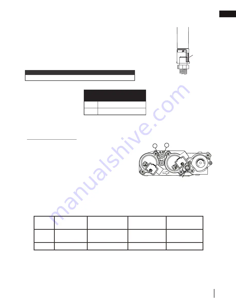 Napoleon Ascent BX42 Installation Manual Download Page 55