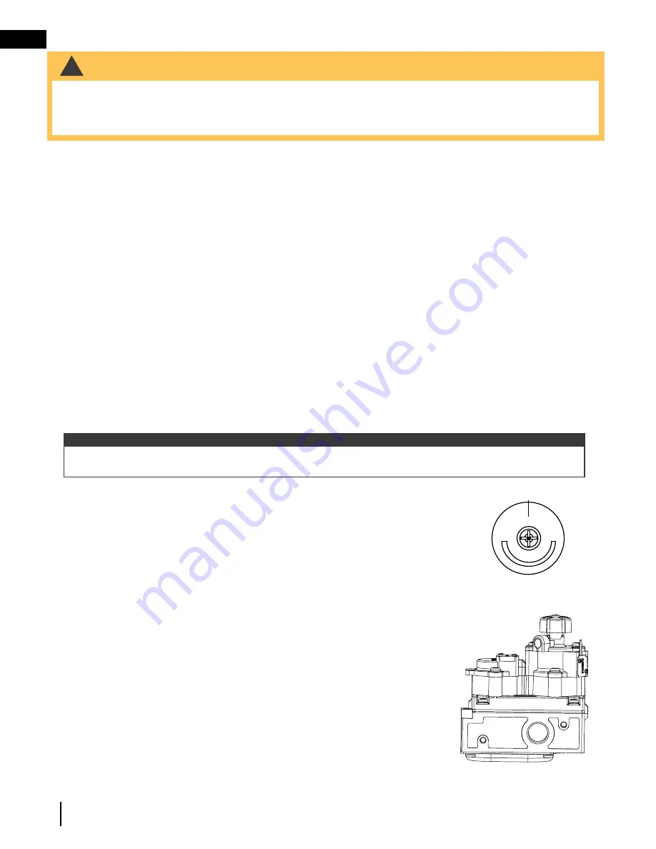 Napoleon Galaxy GSS48NE Installation And Operation Manual Download Page 30