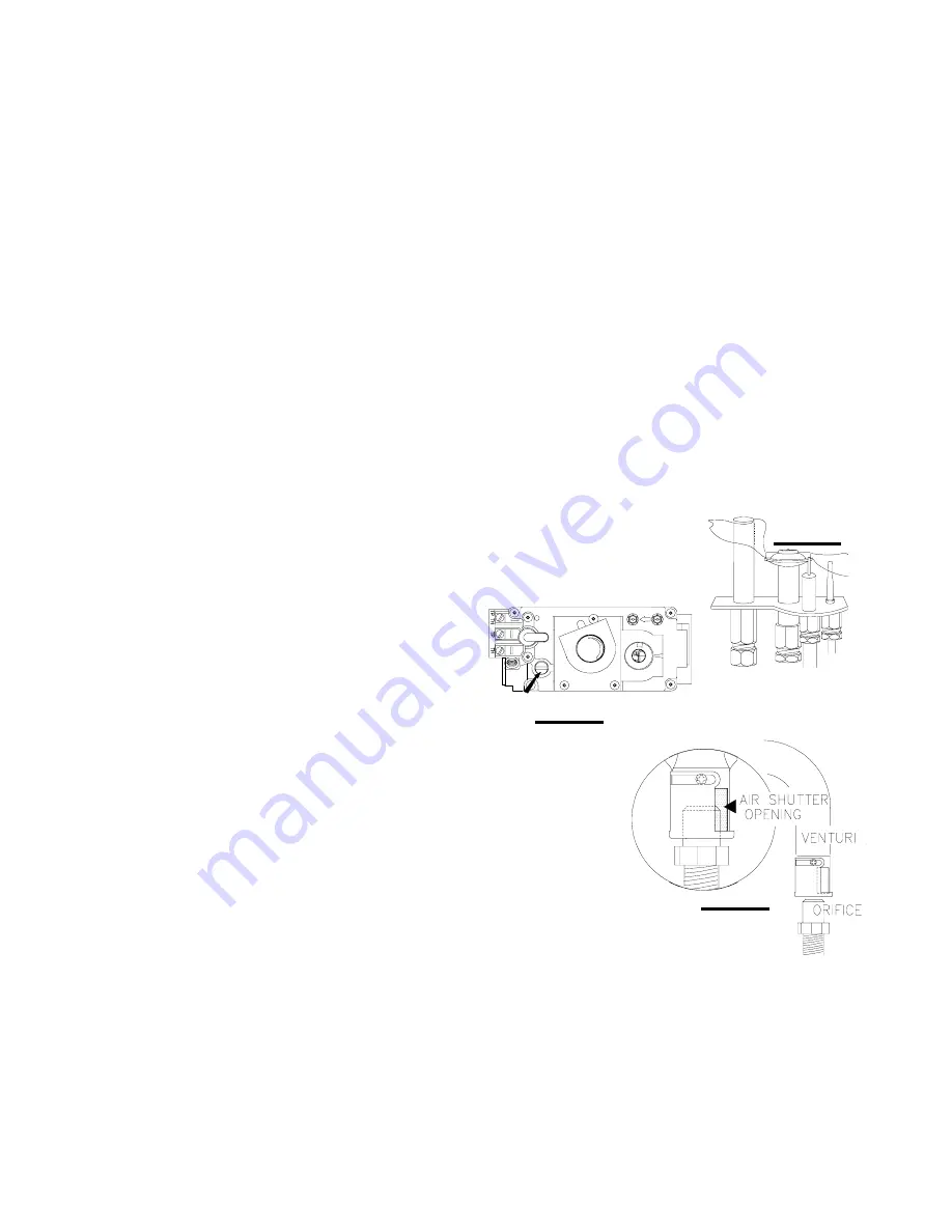 Napoleon GD16 - N Installation And Operation Instructions Manual Download Page 19