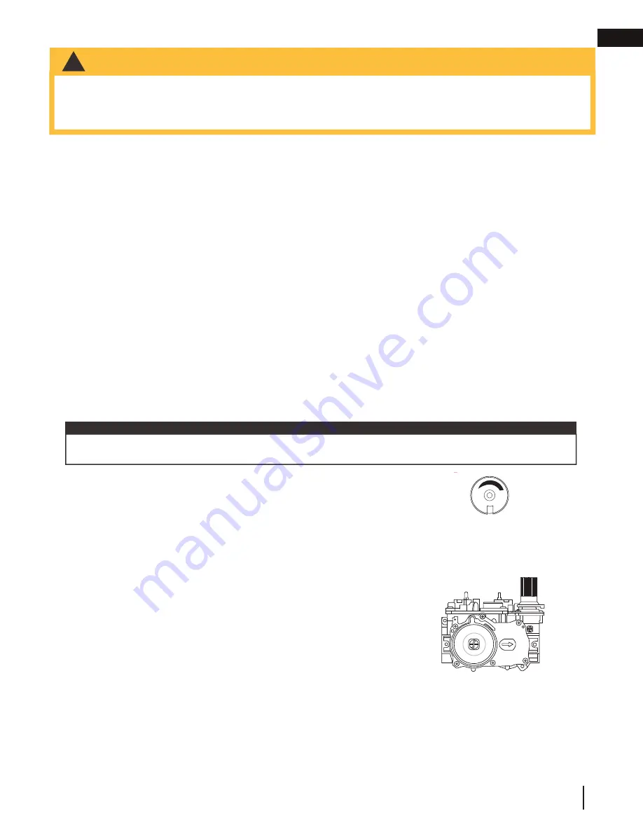 Napoleon Haliburton GDS28-1NSB Installation And Operation Manual Download Page 33